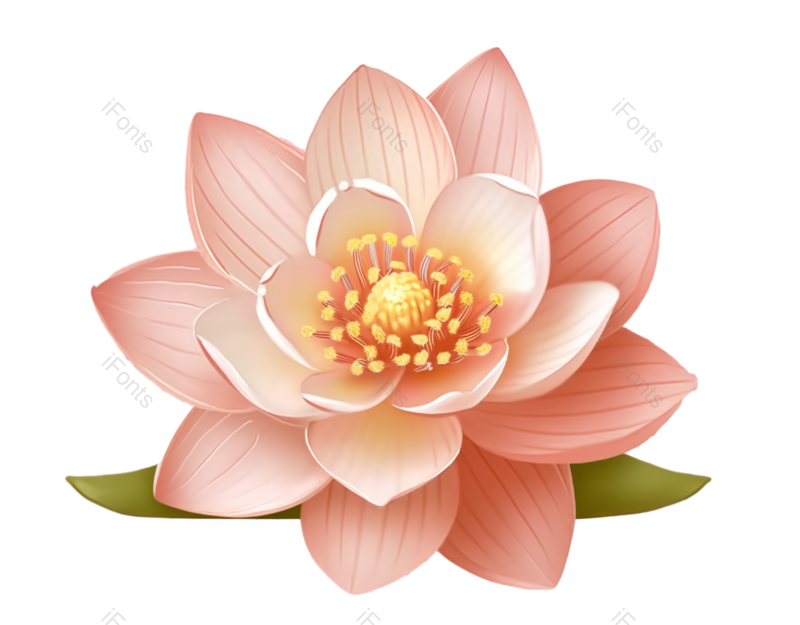 叶子图片,夏至元素,元素PNG,清新免抠素材
